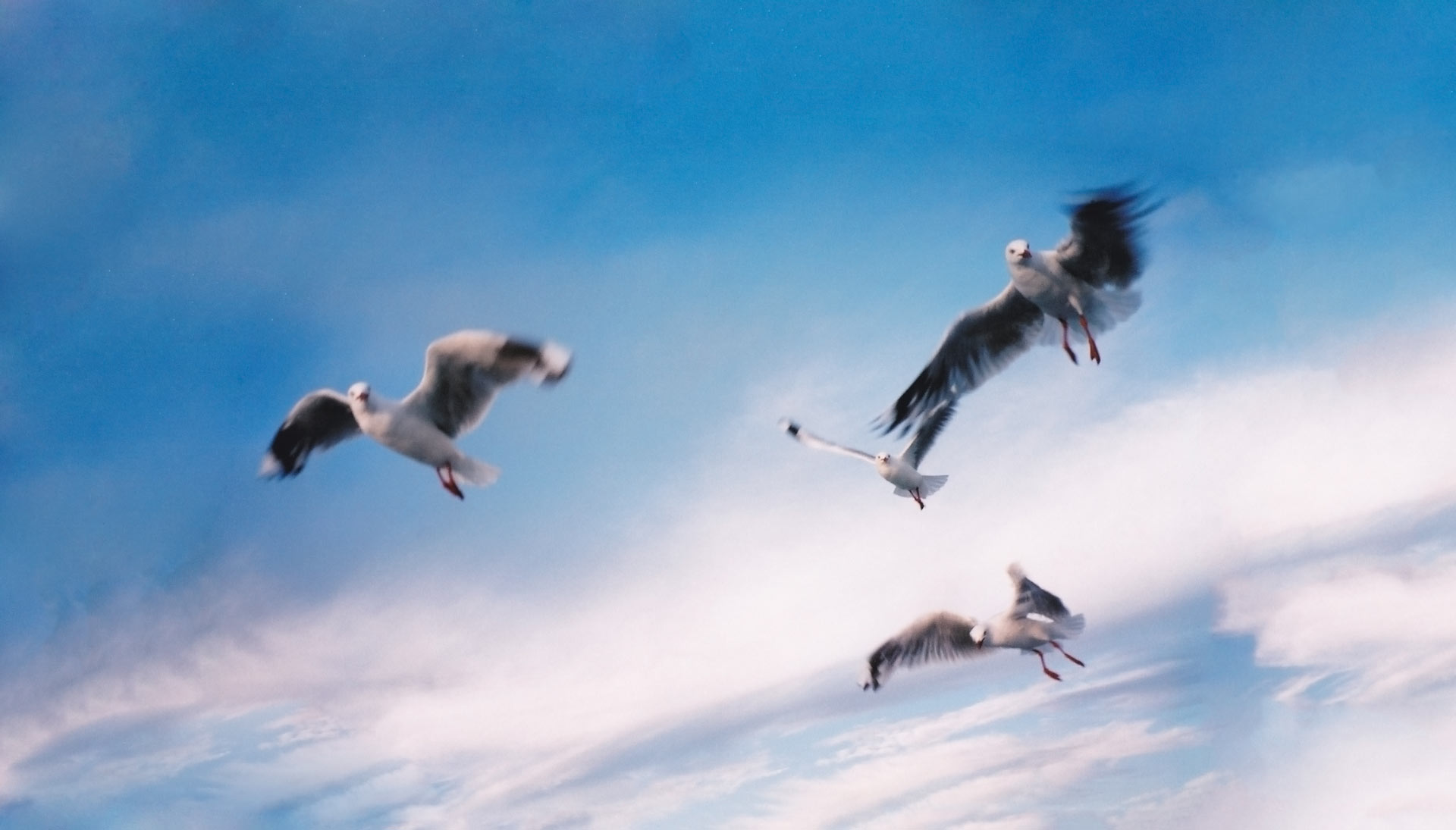 Matrix, Reiki, Heilströmen